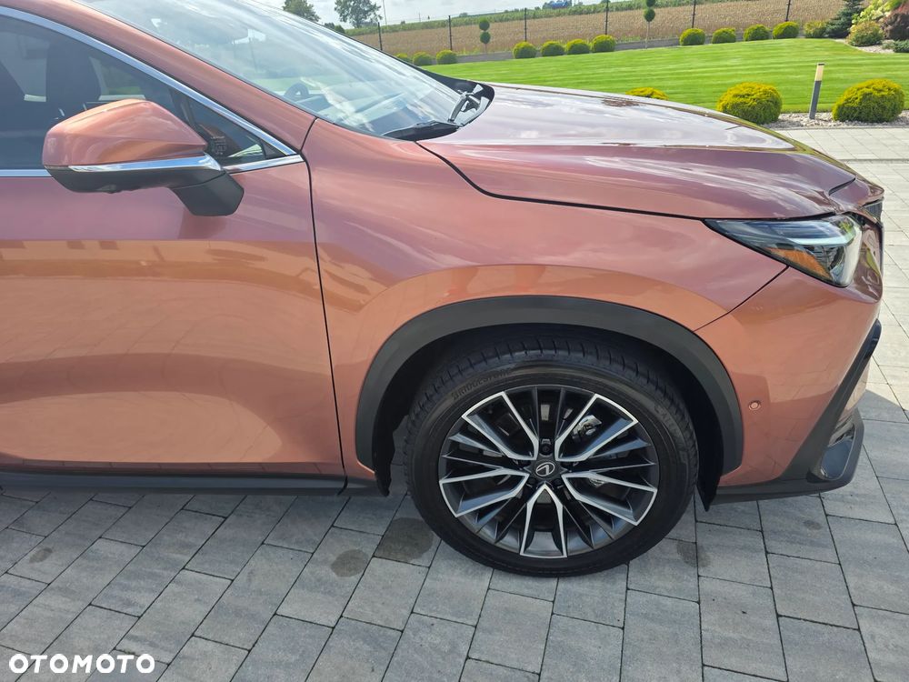 Lexus NX 350h Omotenashi AWD - 12