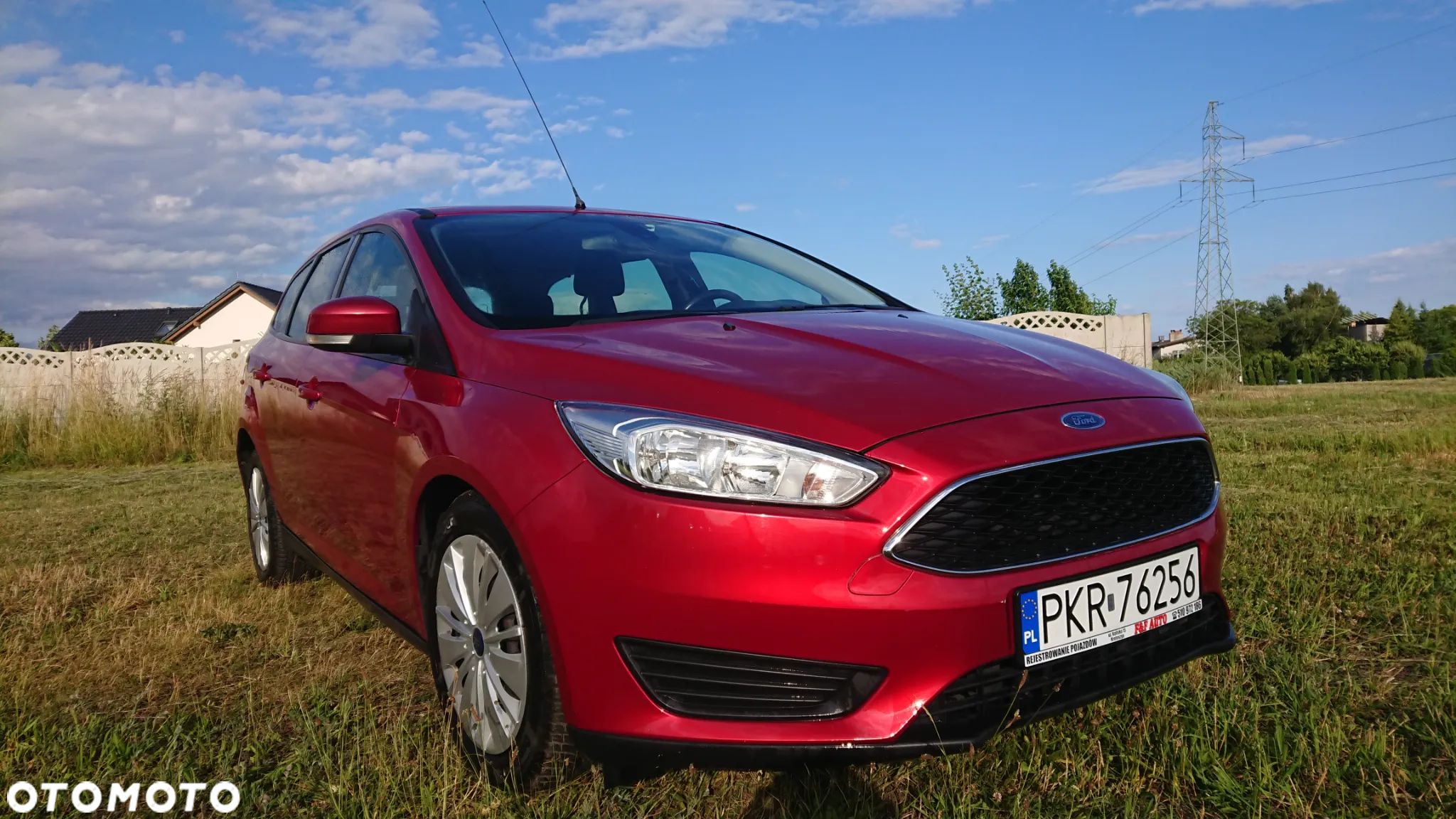 Ford Focus - 1