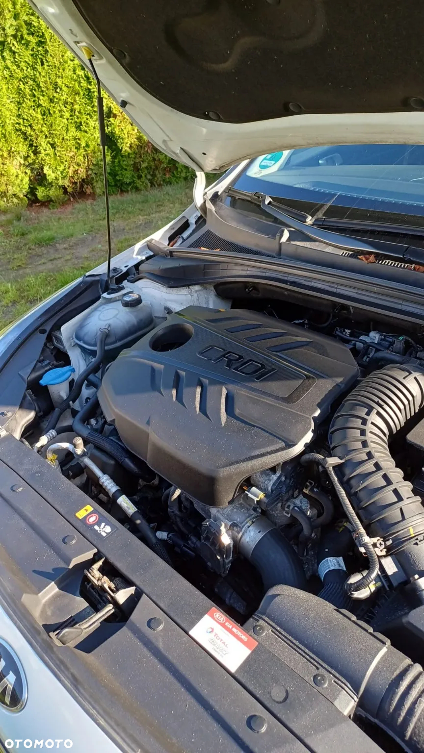 Kia Ceed 1.6 CRDi Eco-Dynamics+ (48V Mild-Hybrid) DCT7 Vision - 7