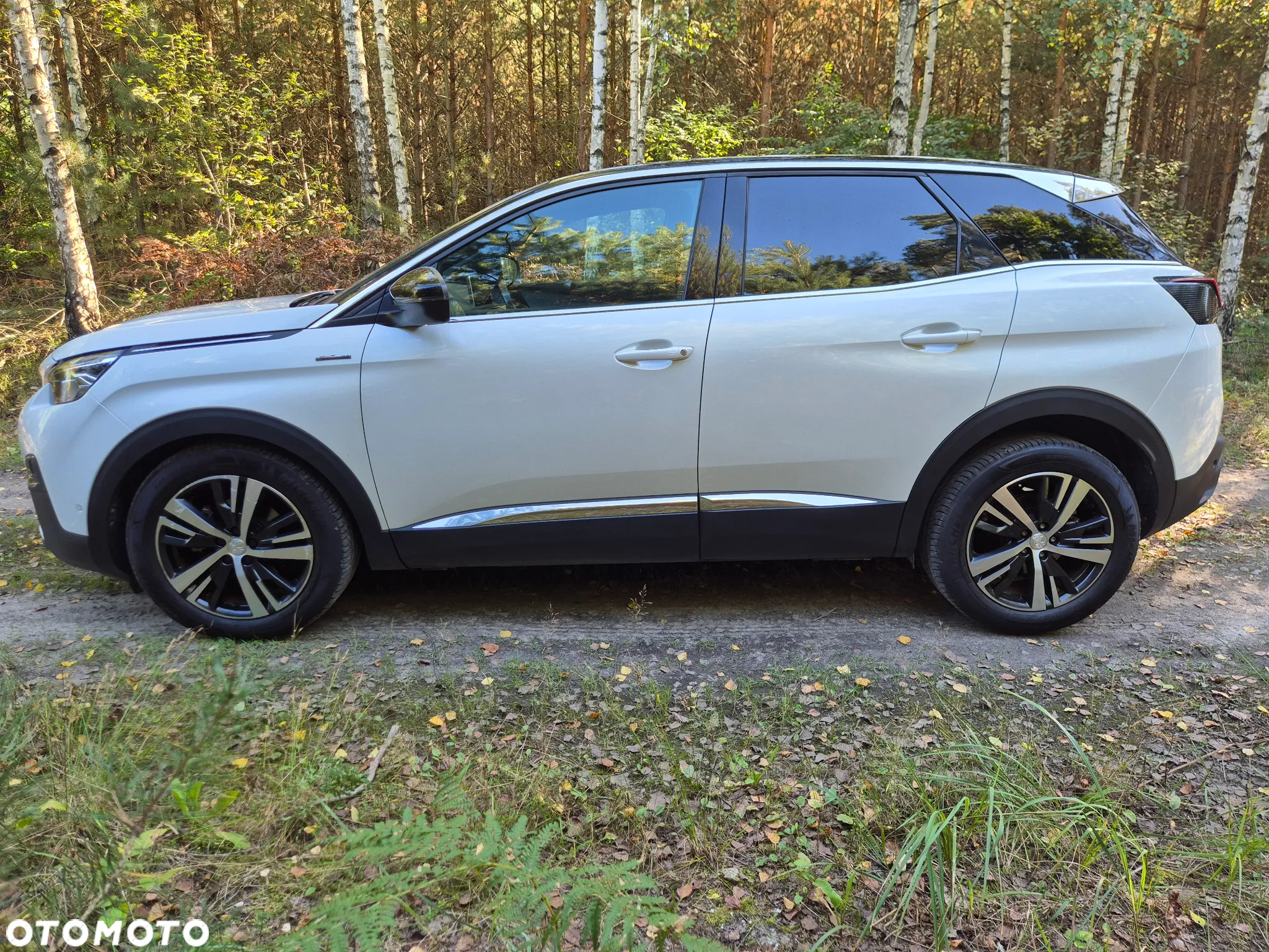 Peugeot 3008 - 7