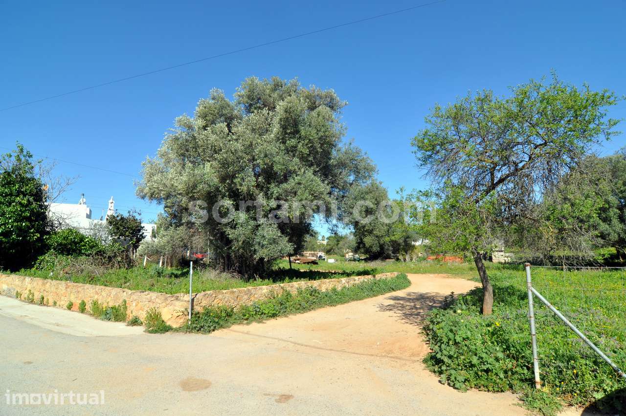 Terreno Para Construção  Venda em Almancil,Loulé - Grande imagem: 2/6