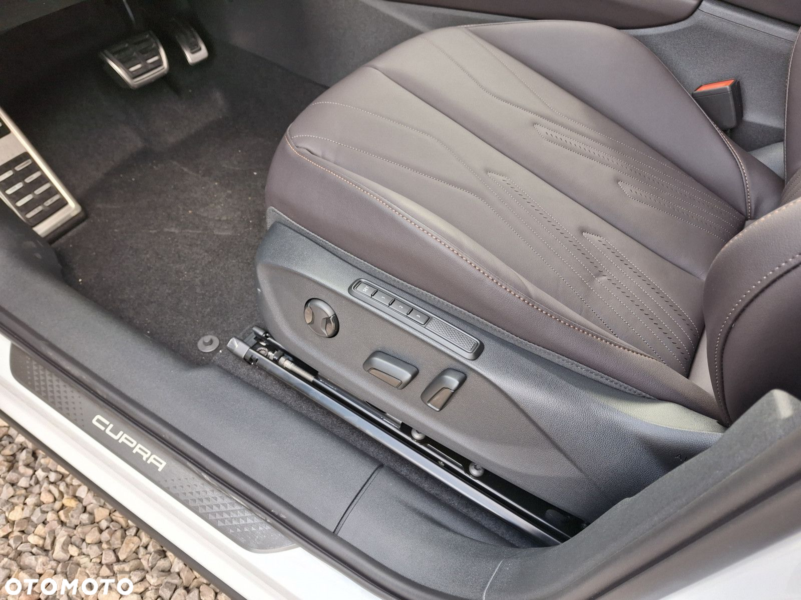 Cupra Terramar - 12