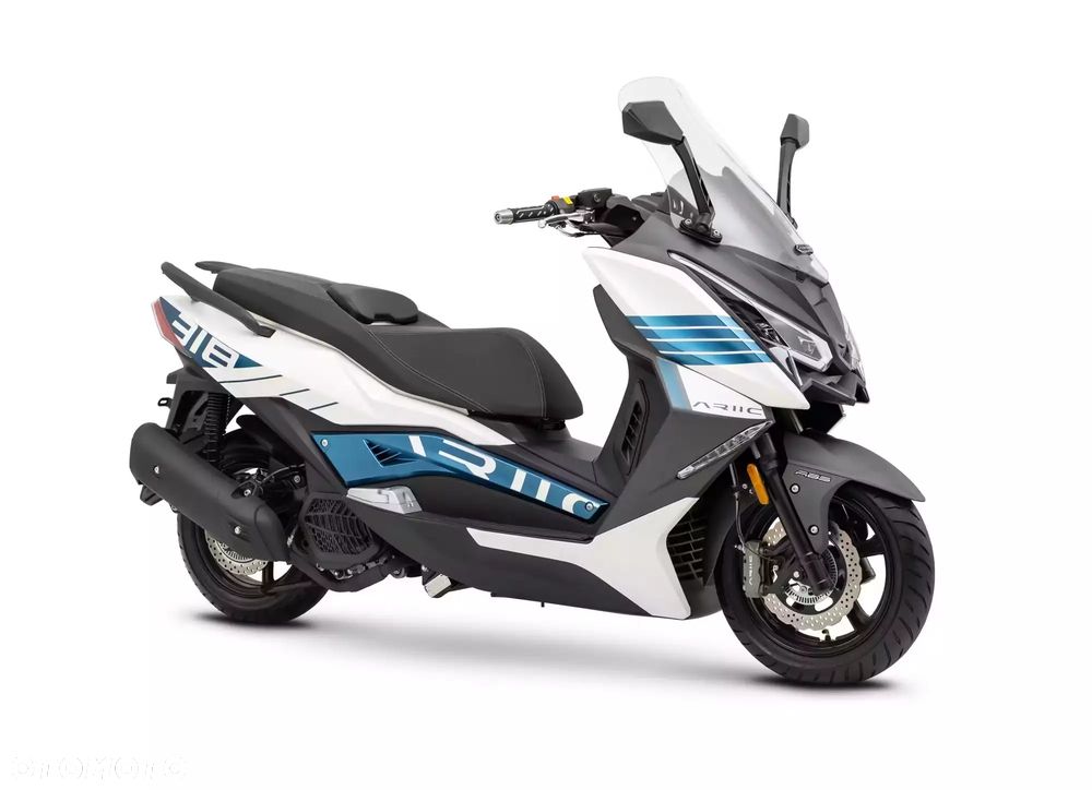 Ariic 318 - 1