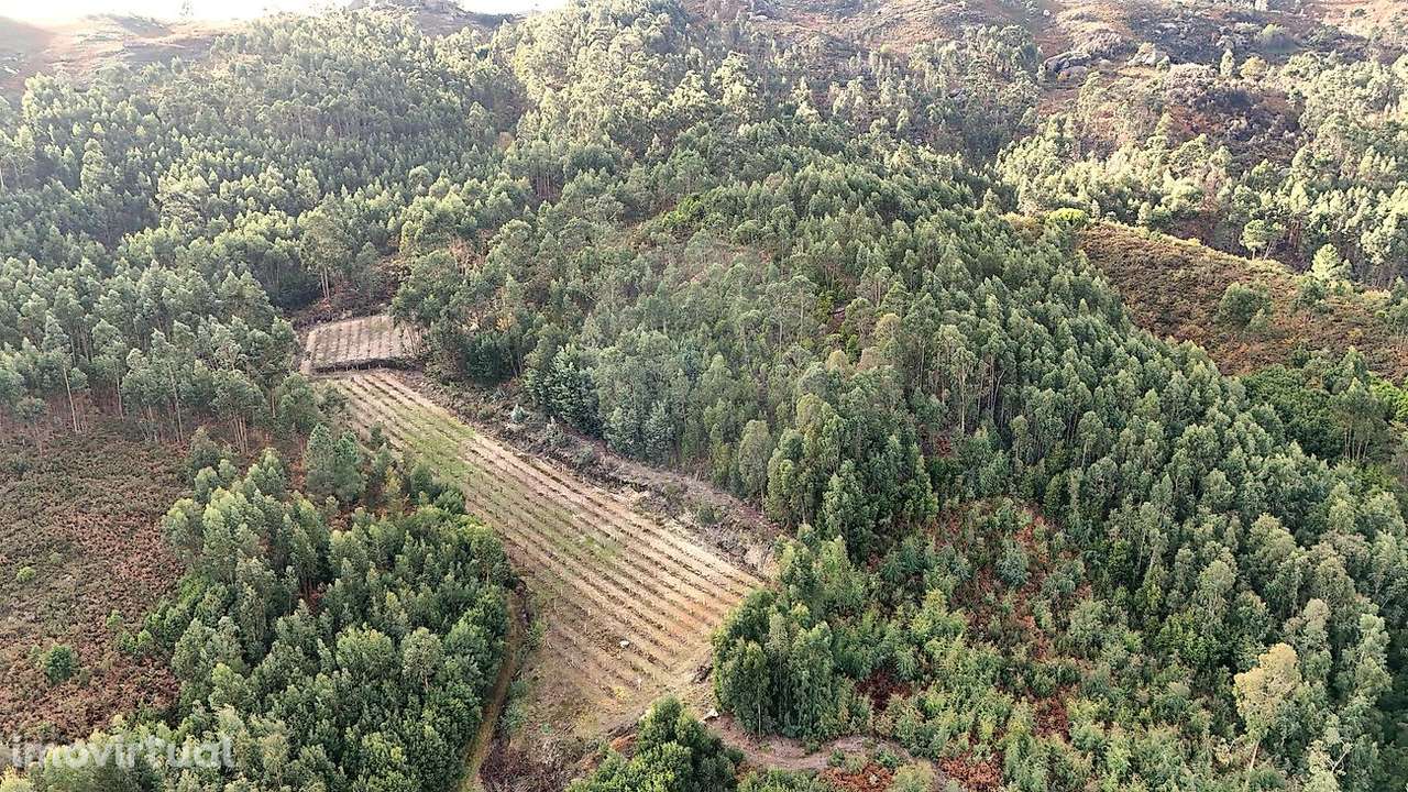 Terreno  para venda - Grande imagem: 2/7