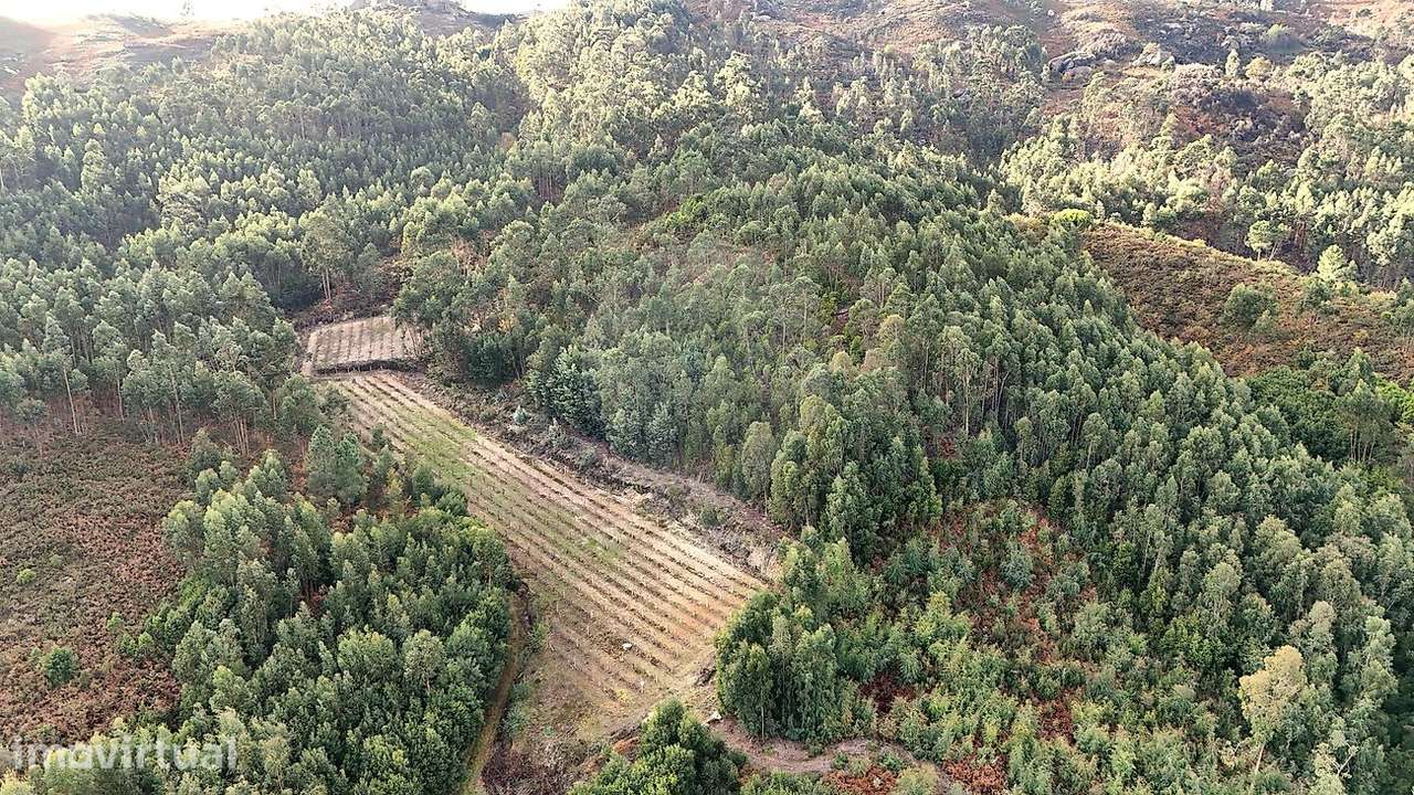Terreno  para venda - Grande imagem: 2/7