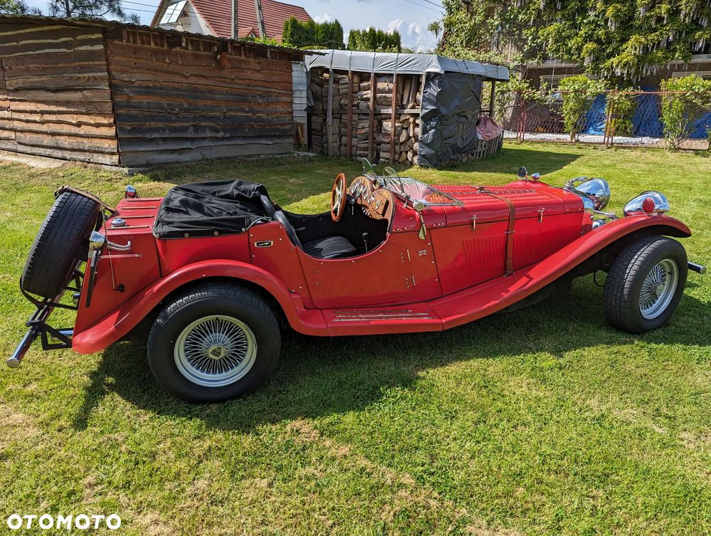 Jaguar Inny - 5