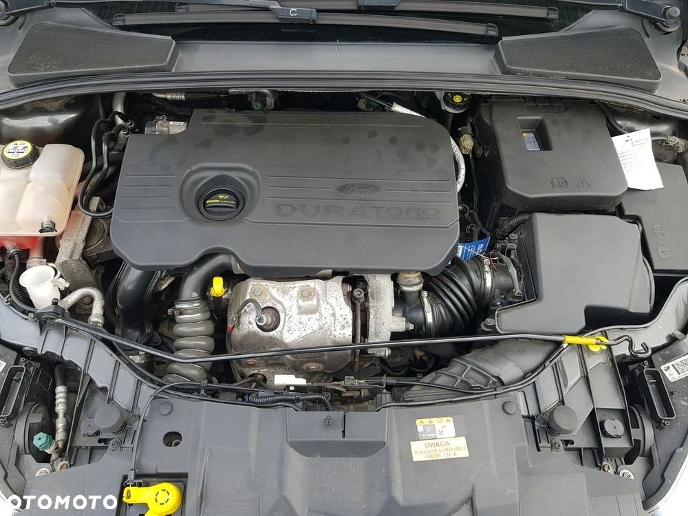 Ford Focus - 19