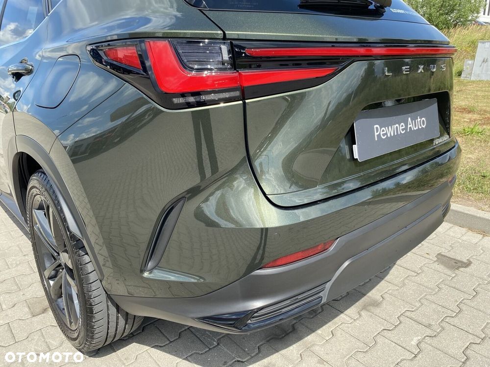 Lexus NX - 28