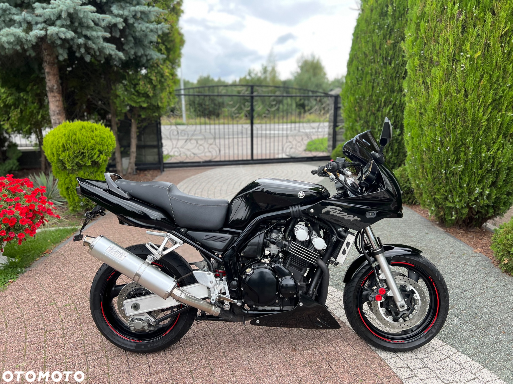 Yamaha FZS - 6