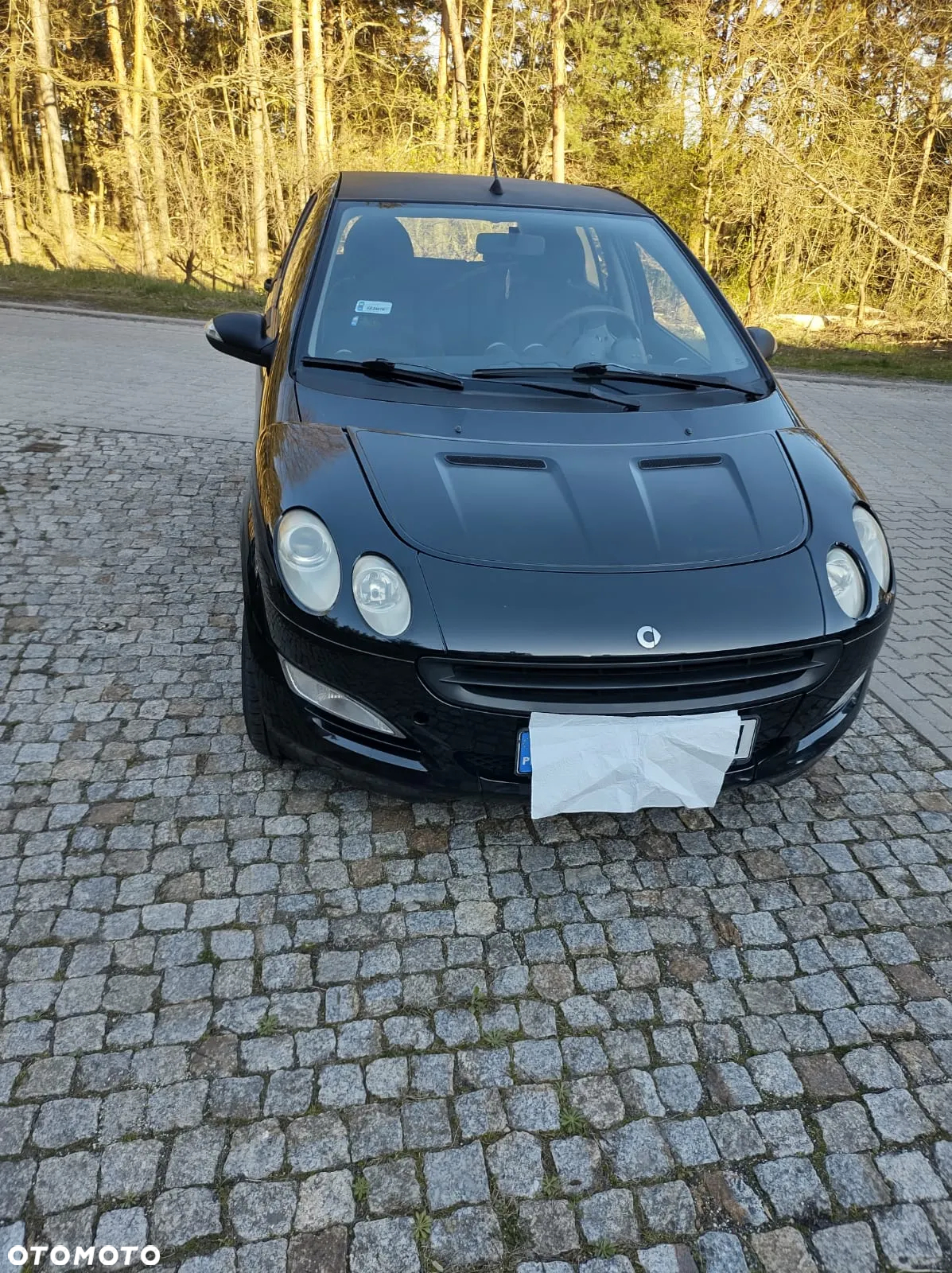 Smart Forfour pulse - 4