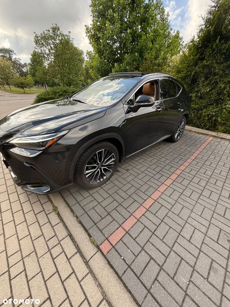 Lexus NX 350h Omotenashi AWD - 3
