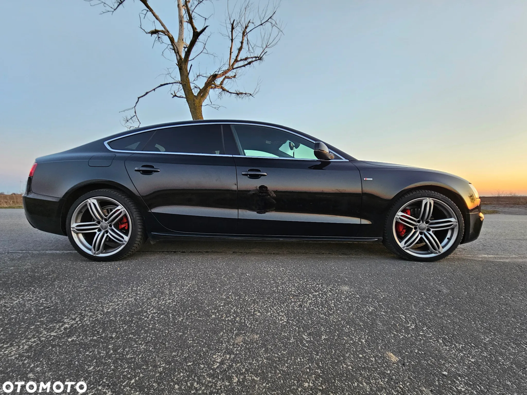 Audi A5 3.0 TDI Quattro S tronic - 8
