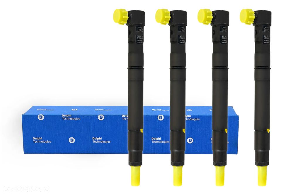 WTRYSKIWACZ R00301D EMBR00301D  SsangYong Action New Action - 1