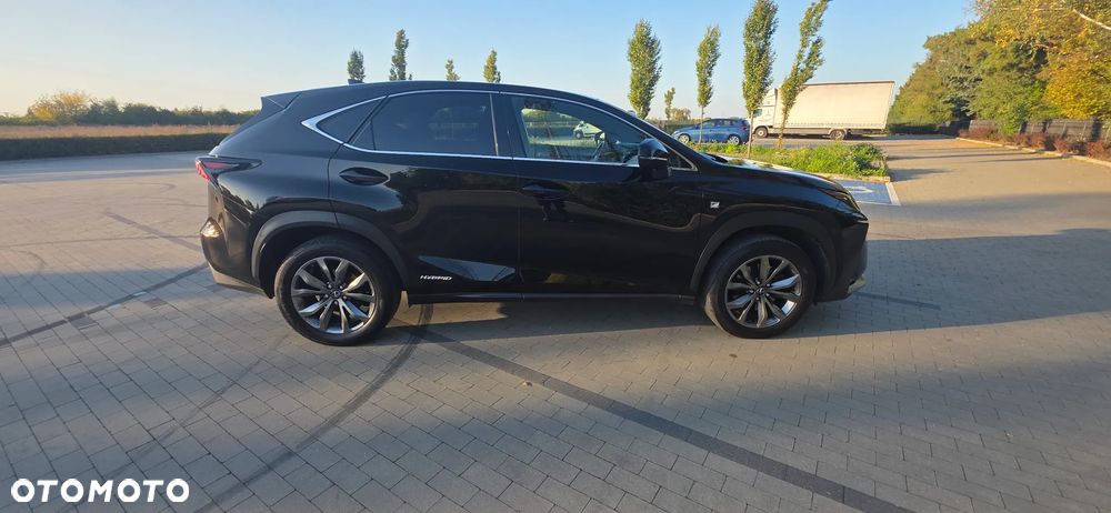 Lexus NX 300h F Sport AWD - 21