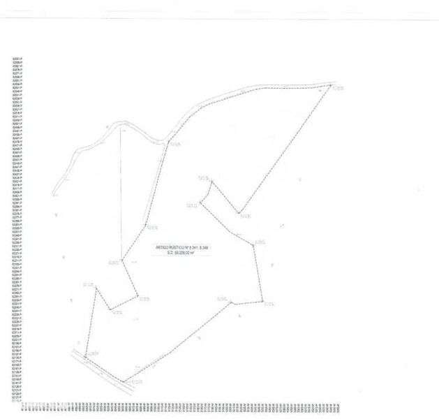 Grande Propriedade Arganil-Bairro da Gândara com 70 Mts Frente estrada - Grande imagem: 3/12