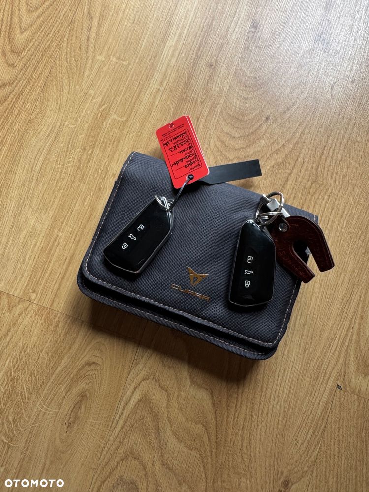 Cupra Formentor 2.0 TDI - 15