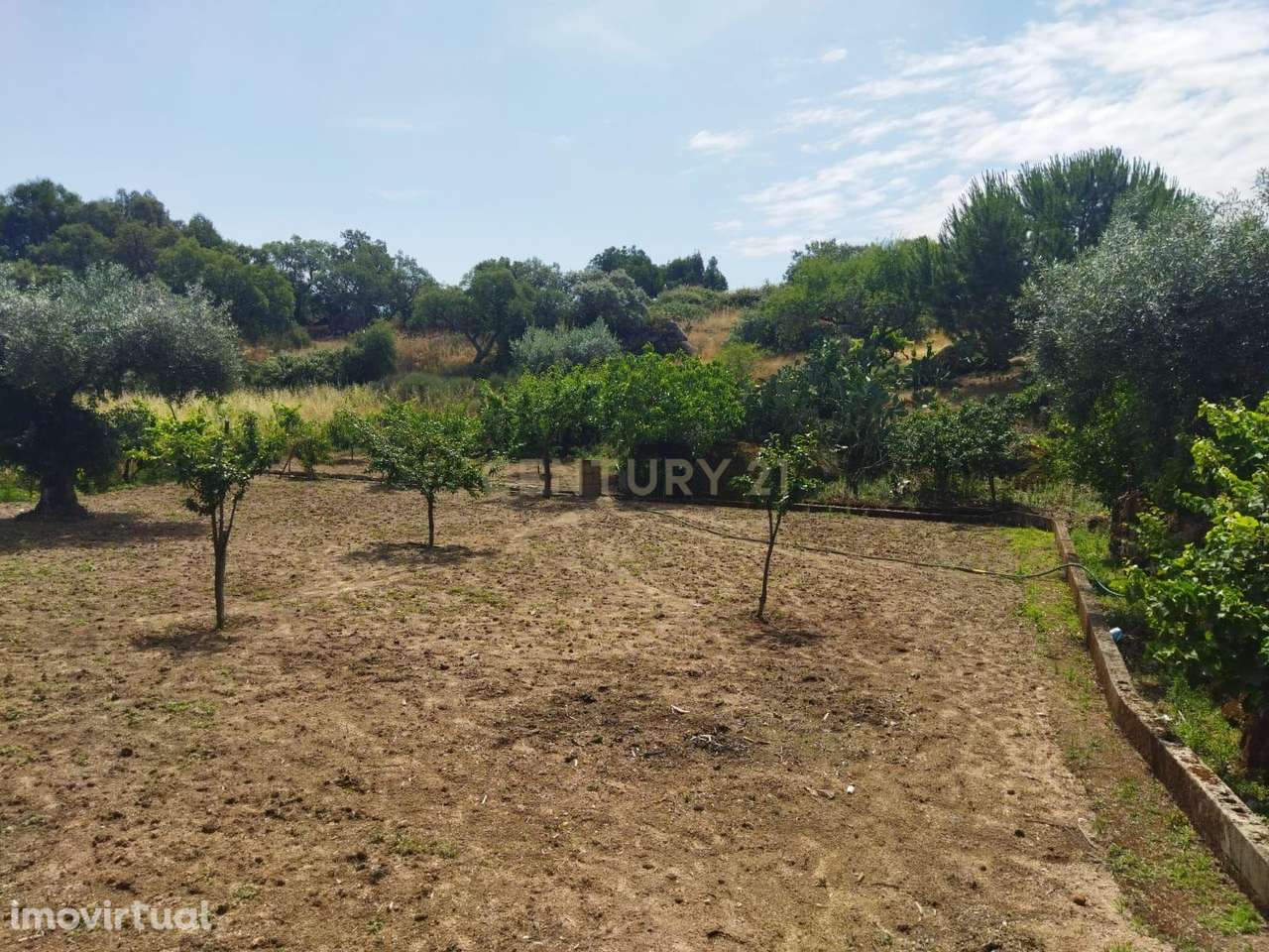 Terreno rústico | Lousa CTB, Castelo Branco - Grande imagem: 4/28