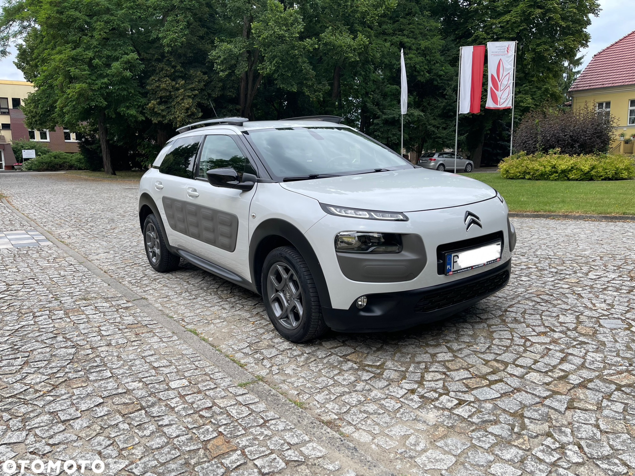 Citroën C4 Cactus 1.2 PureTech Feel Elite EU6 - 2