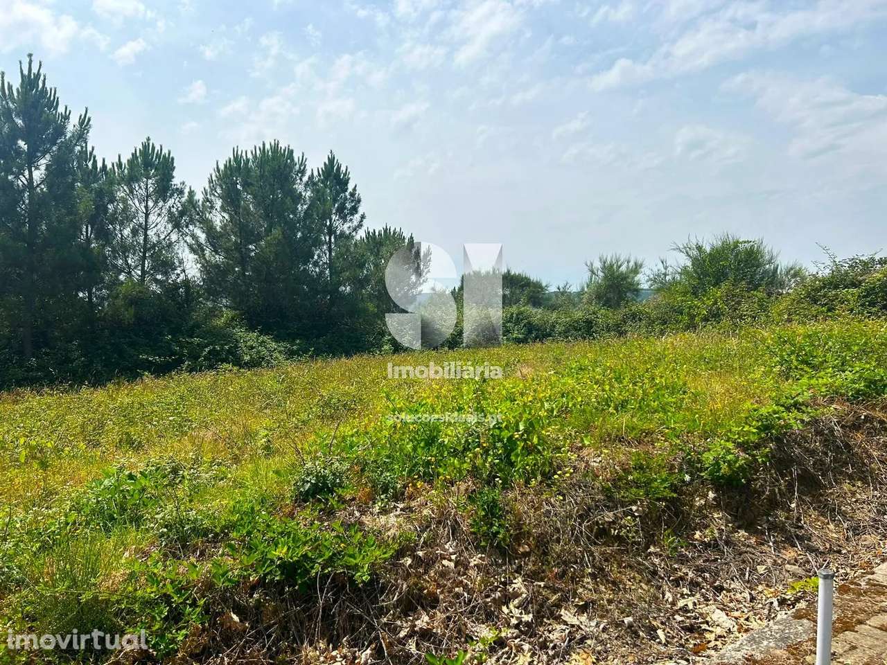 Terreno em Sabrosa - Grande imagem: 3/14