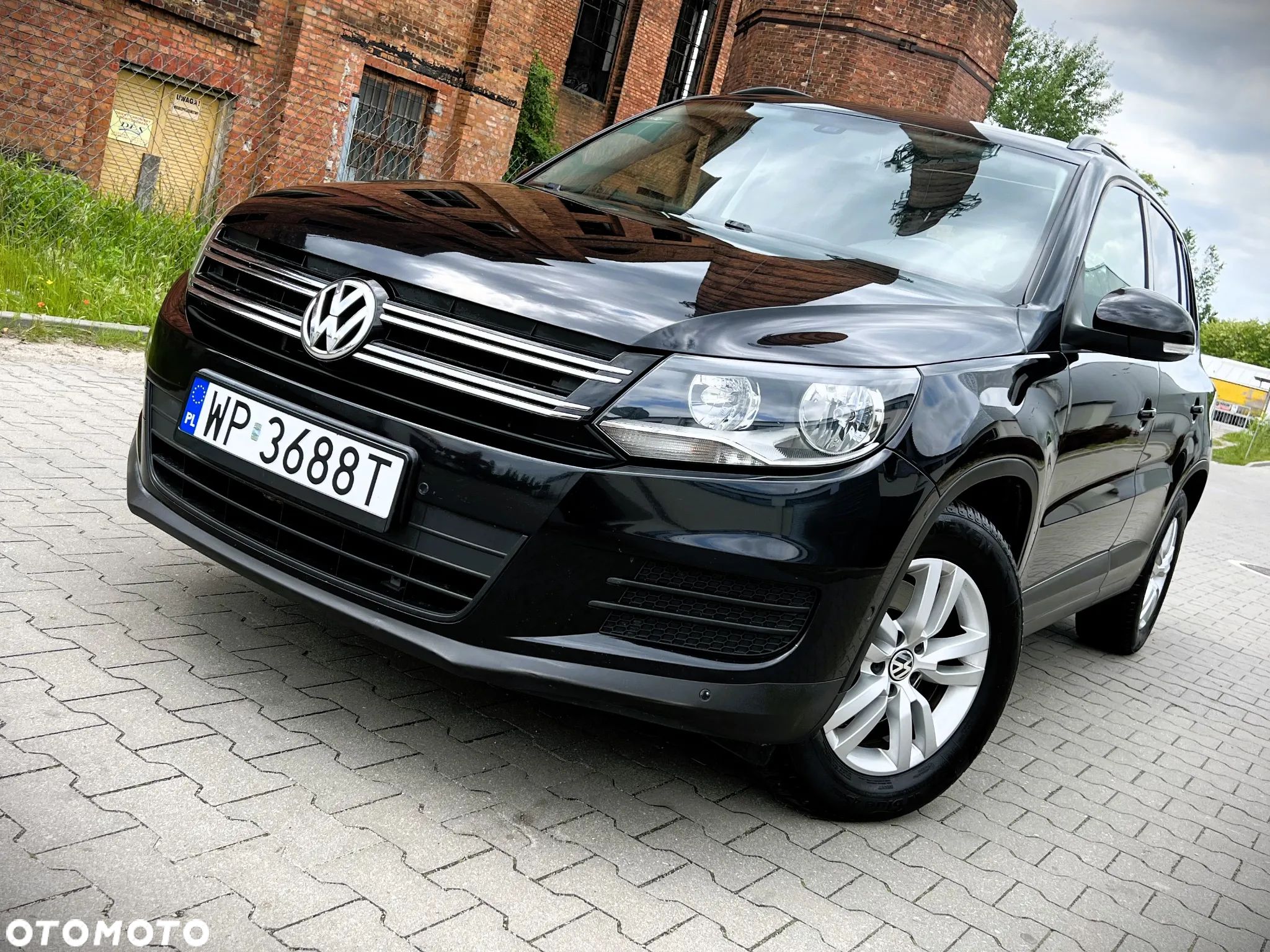 Volkswagen Tiguan - 1