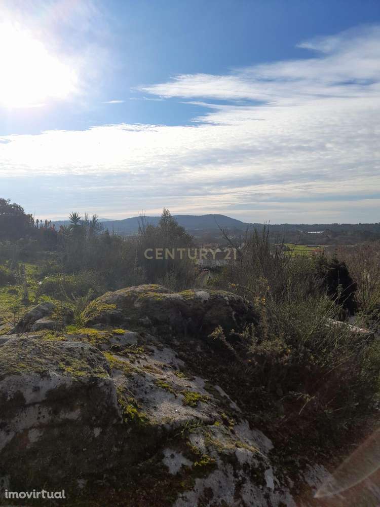 Terreno à Venda em Viana do Castelo - 2420m² por 50.000€ - Grande imagem: 3/9