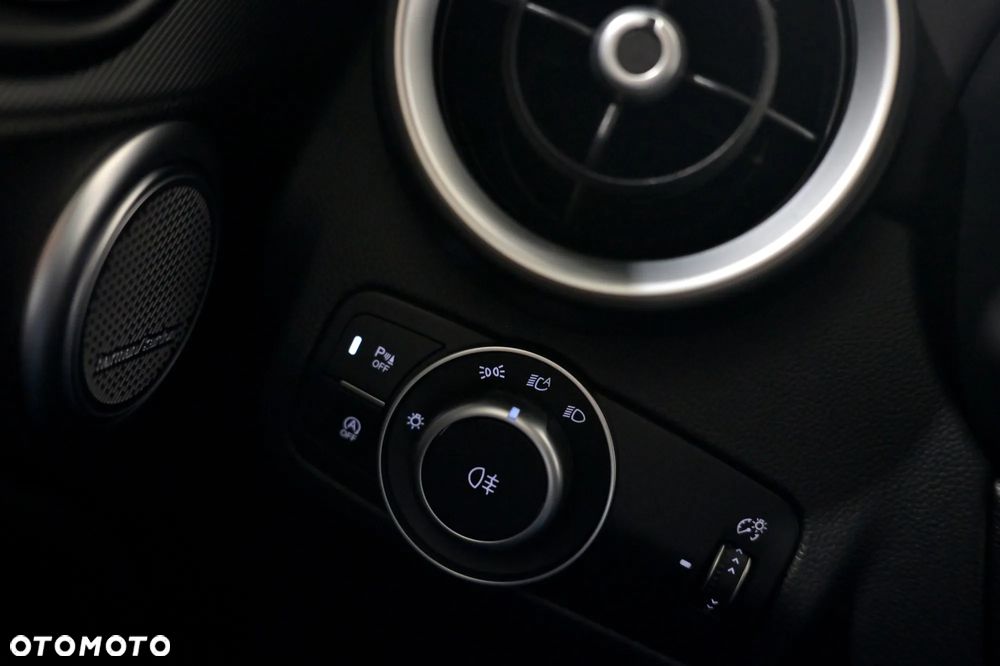 Alfa Romeo Stelvio 2.0 Turbo TI Q4 - 20