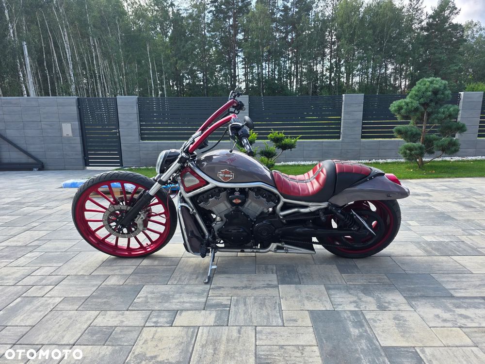 Harley-Davidson V-Rod Street Rod - 12