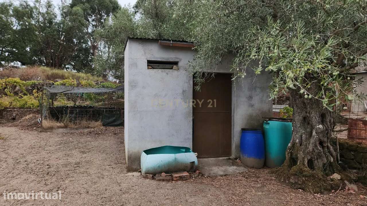 Quintinha de 2.250 m² | Natureza, água e potencial | Escalos de Baixo, - Grande imagem: 3/29