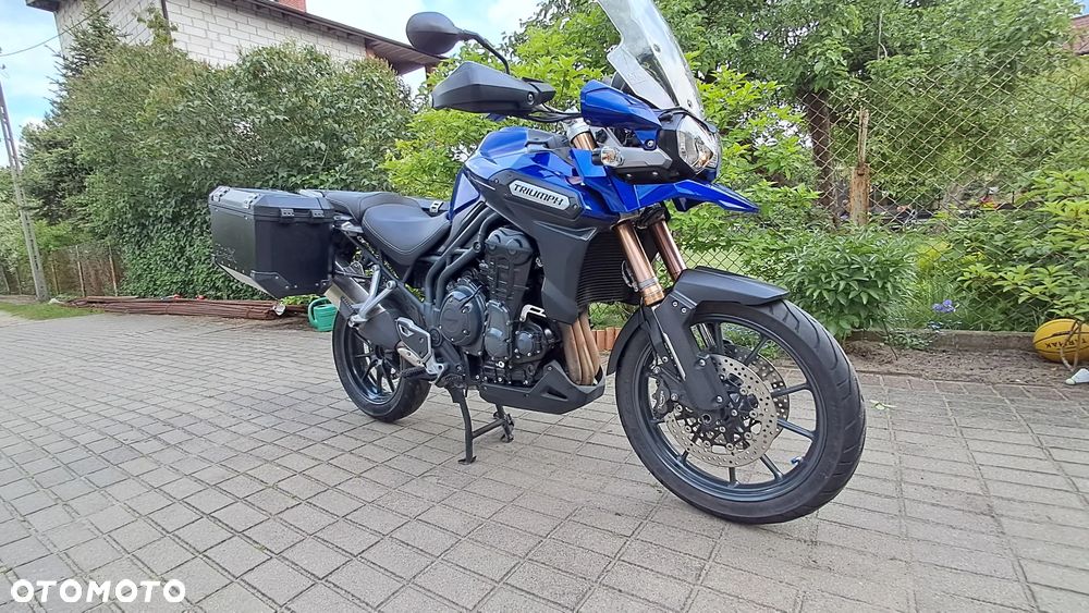 Triumph Tiger - 13