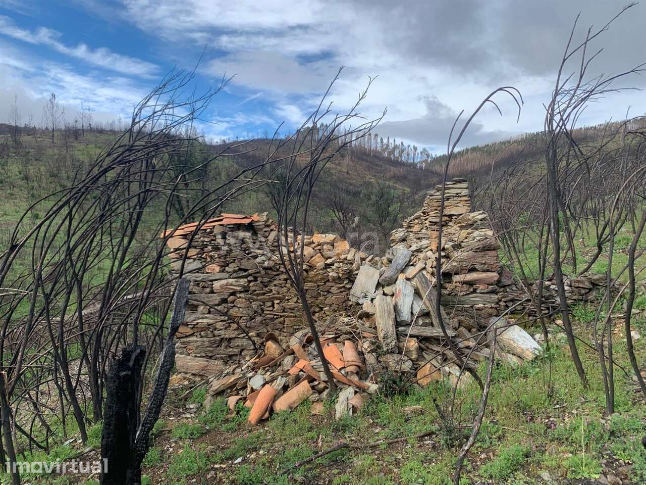 Terreno com ruina Estúdio / Fundão, Lavacolhos - Grande imagem: 2/13