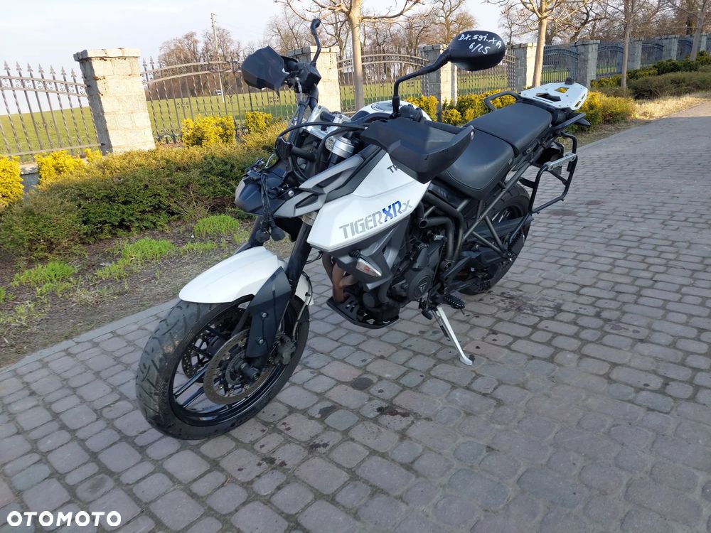 Triumph Tiger - 1