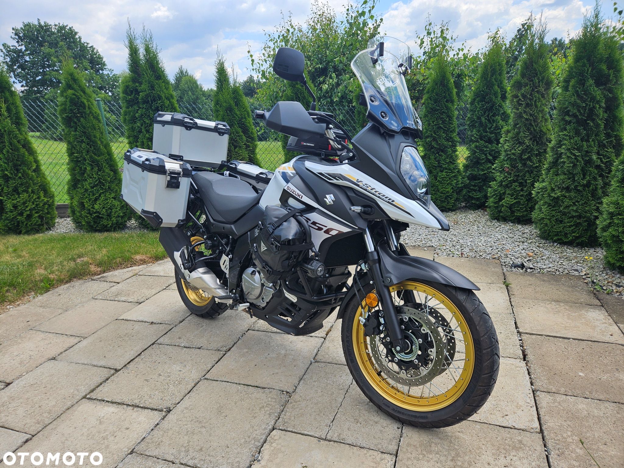 Suzuki DL