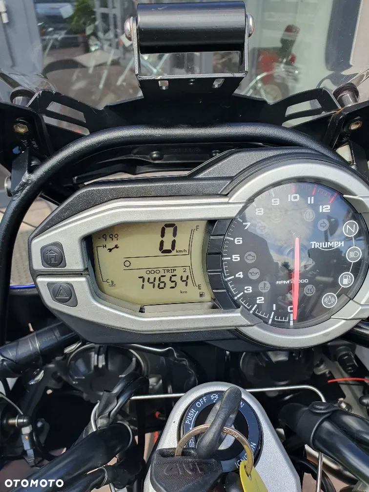 Triumph Tiger - 15