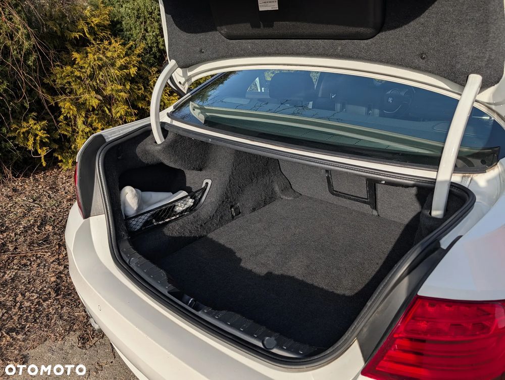 BMW Seria 5 520d - 25