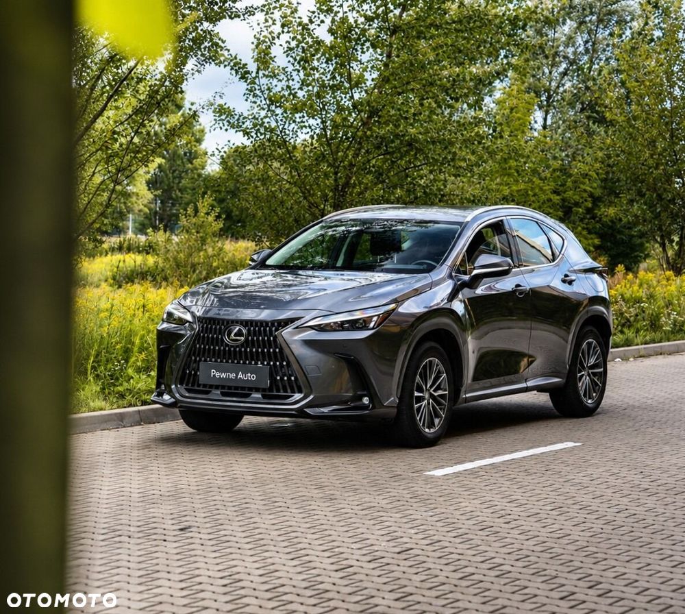 Lexus NX 350h Elegance 2WD - 7