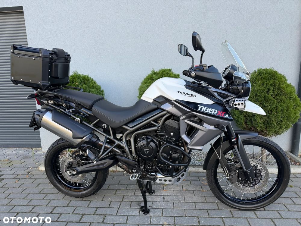 Triumph Tiger