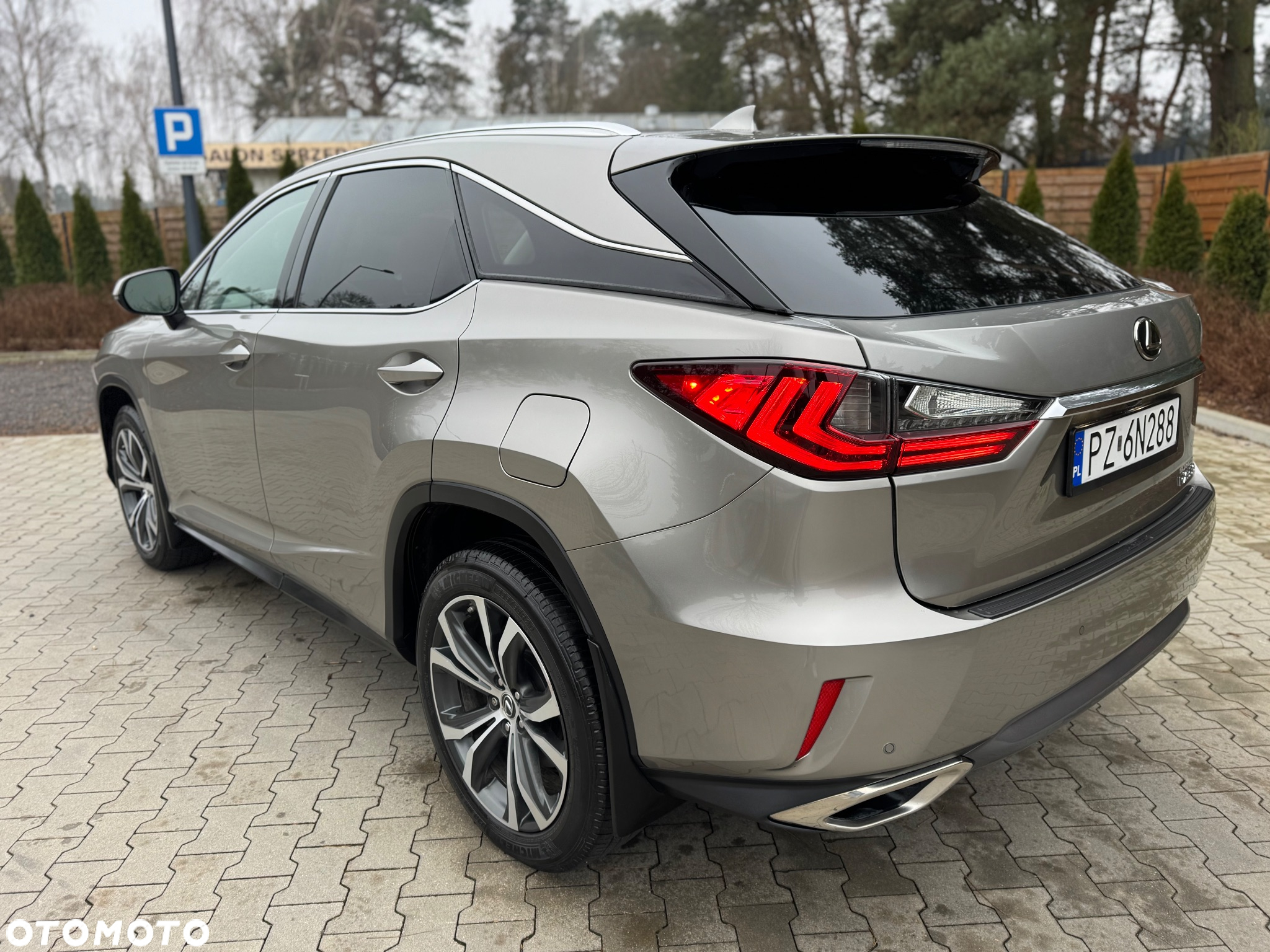 Lexus RX - 9