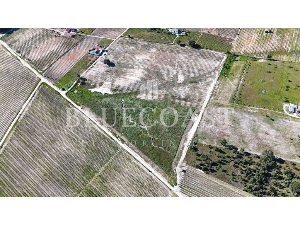 Oportunidade de Investimento - Terreno no Poceirão com 6 hectares - Grande imagem: 2/10