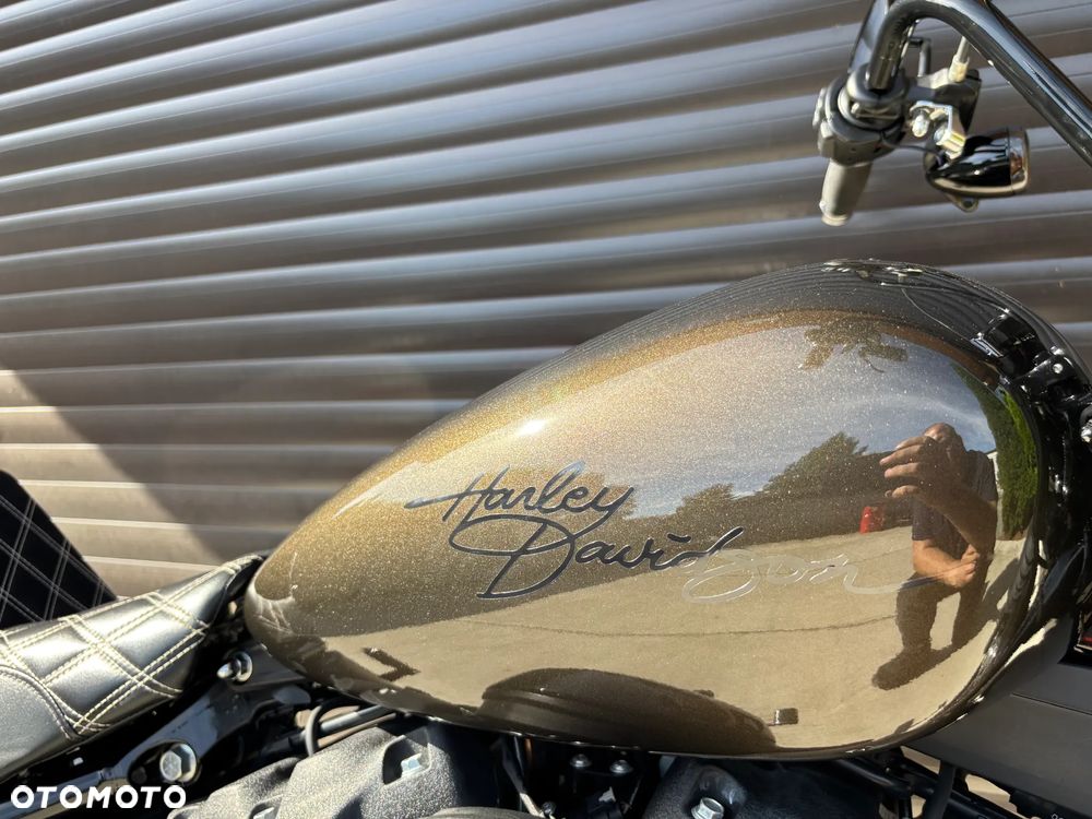 Harley-Davidson Softail - 14