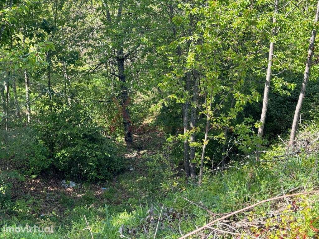 Terreno para Construção em São Romão - Seia - Serra da Estrela - Grande imagem: 2/6