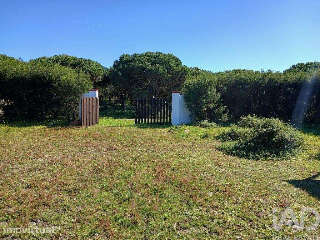 Terreno Agrícola em Vila Nova de Milfontes - Grande imagem: 3/11