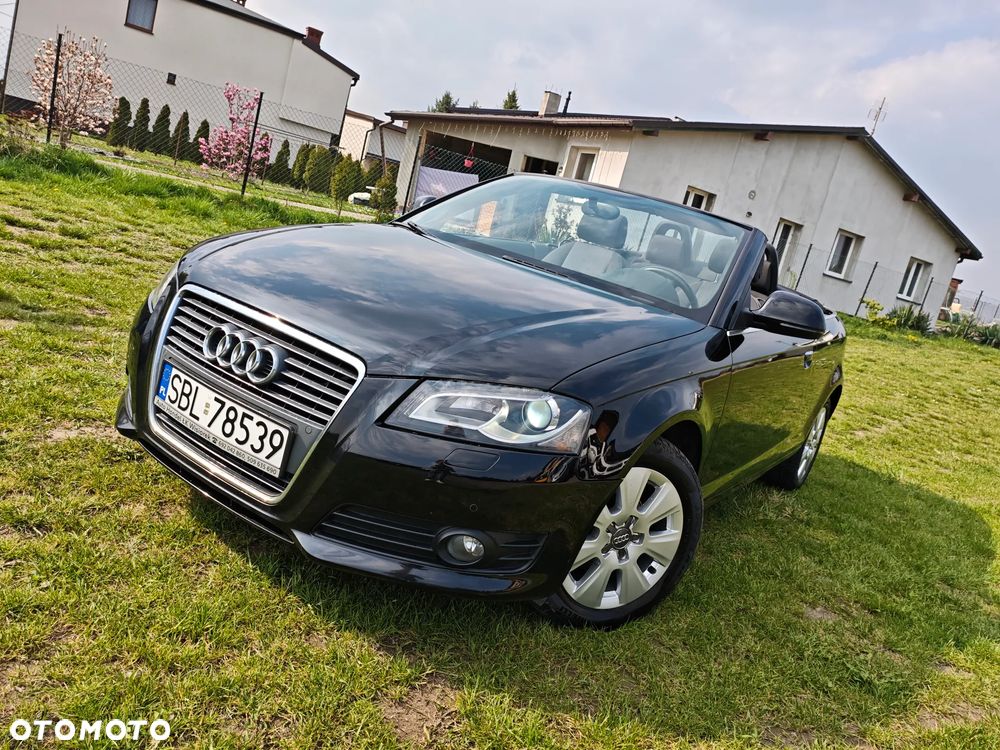 Audi A3 Cabrio 1.6 Attraction - 2