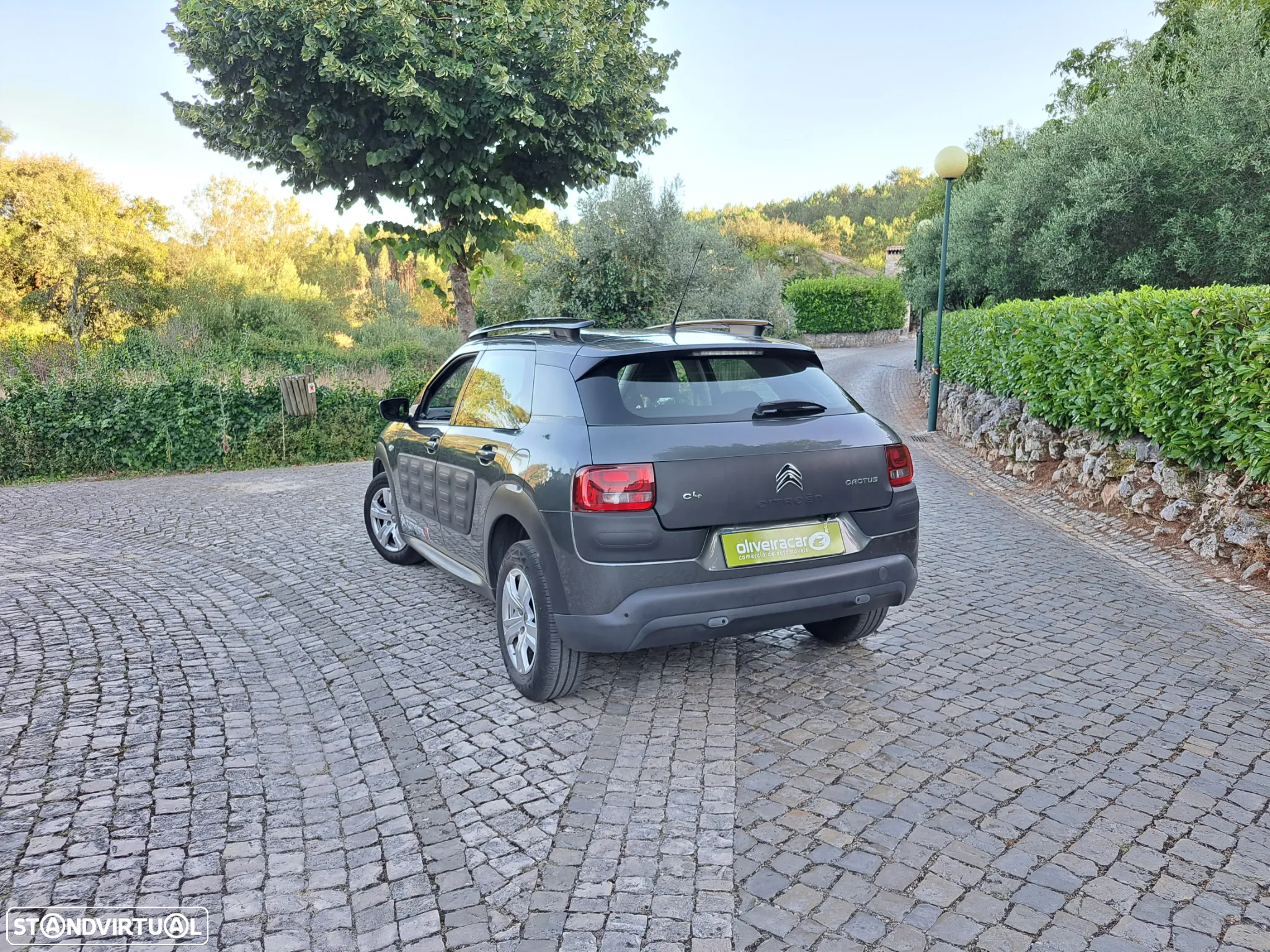 Citroën C4 Cactus 1.6 BlueHDi Feel Business - 24