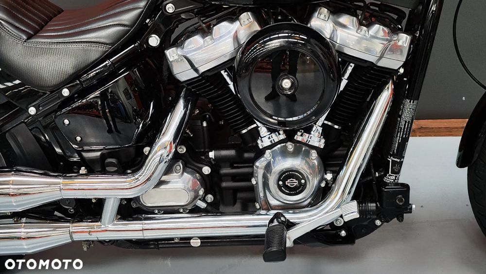 Harley-Davidson Softail Standard - 15