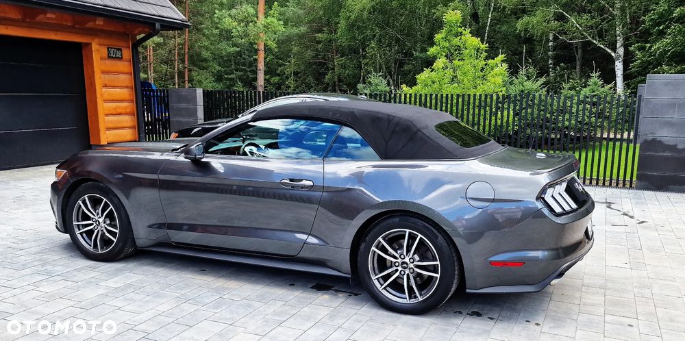 Ford Mustang Cabrio 2.3 Eco Boost - 6
