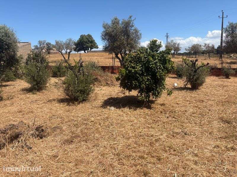 Vende-se Terreno Urbano em Chança – Alter do Chão (Portalegre) - Grande imagem: 5/8
