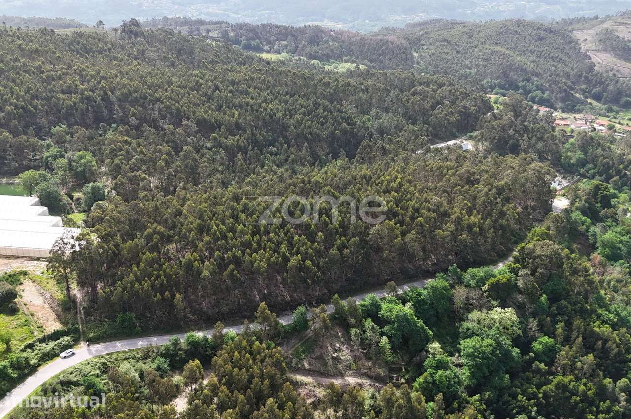 TERRENO COM 2 HECTARES POVOA DE LANHOSO - Grande imagem: 3/15