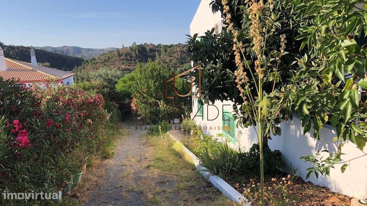 Moradia típica de 3 quartos com terreno amplo - São Brás de Alportel. - Grande imagem: 3/12