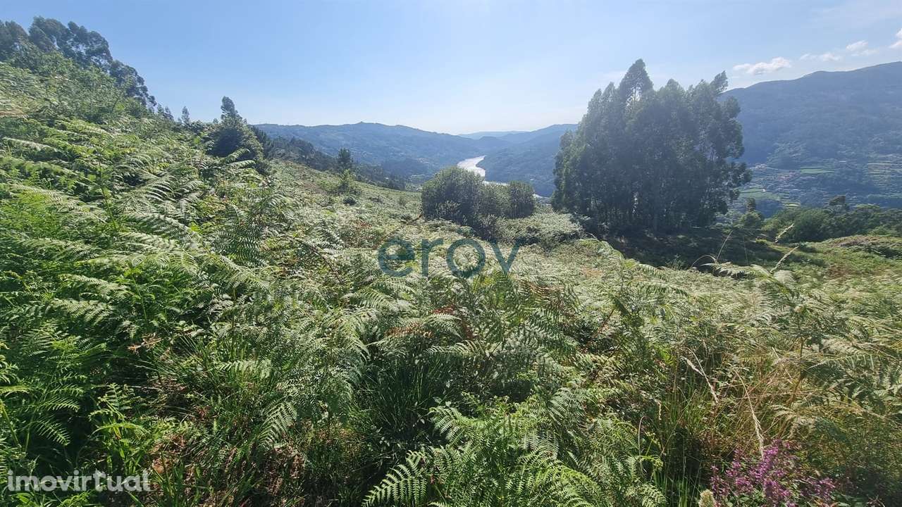 Terreno em Ventosa - Vieira do Minho - Oportunidade Única - Grande imagem: 5/16