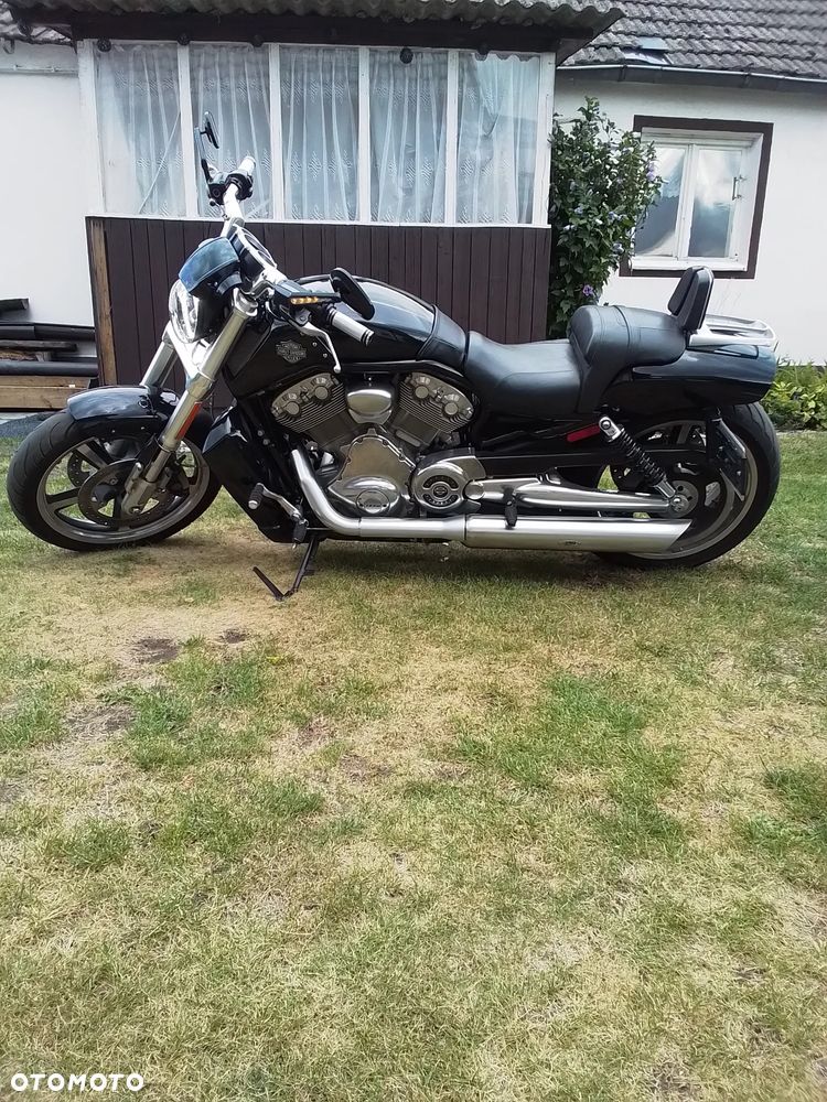 Harley-Davidson V-Rod Muscle - 1